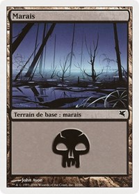 Swamp (French) - "Marais" (F20)