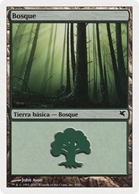 Forest (Spanish) - "Bosque" (J9)