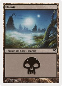 Swamp (French) - "Marais" (E11)