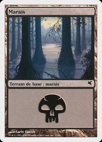 Swamp (French) - "Marais" (A11)