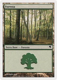 Forest (Italian) - "Foresta" (B10)