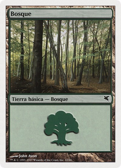 Forest Spanish Bosque