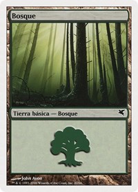 Forest (Spanish) - "Bosque" (B20)