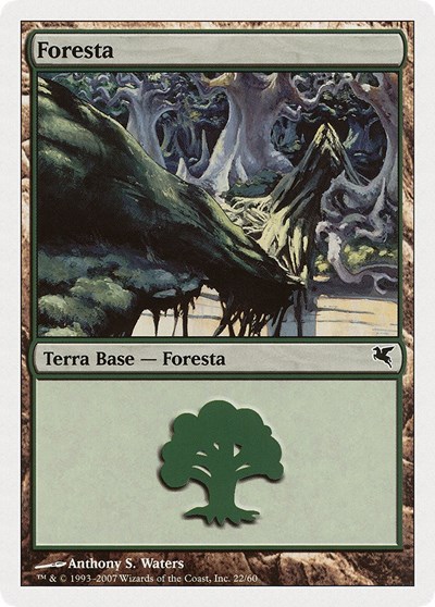 Forest Italian Foresta