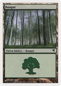 Forest (Spanish) - "Bosque" (B22)