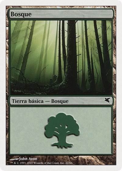 Forest Spanish Bosque