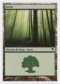 Forest (French) - "Foret" (J22)