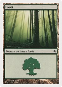 Forest (French) - "Foret" (B24)