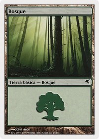 Forest (Spanish) - "Bosque" (B24)