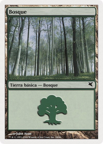Forest Spanish Bosque