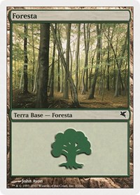 Forest (Italian) - "Foresta" (B33)