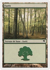 Forest (French) - "Foret" (B33)