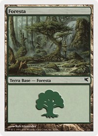Forest (Italian) - "Foresta" (K32)