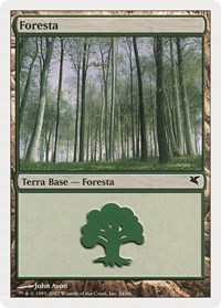 Forest (Italian) - "Foresta" (B34)