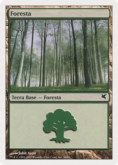 Forest Italian Foresta