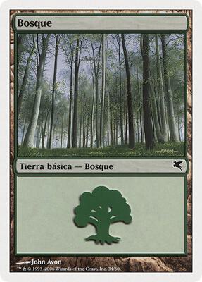Forest (Spanish) - "Bosque"