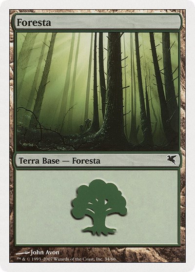 Forest Italian Foresta