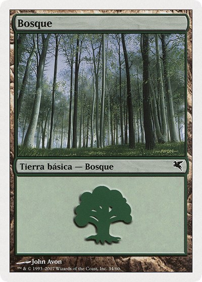 Forest Spanish Bosque