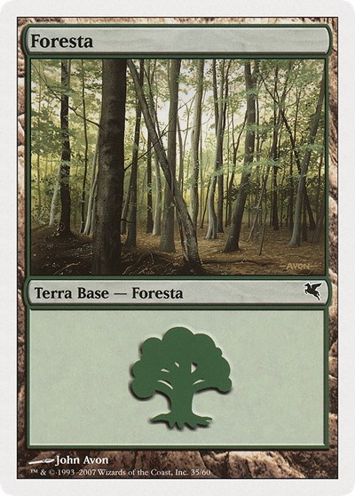Forest Italian Foresta