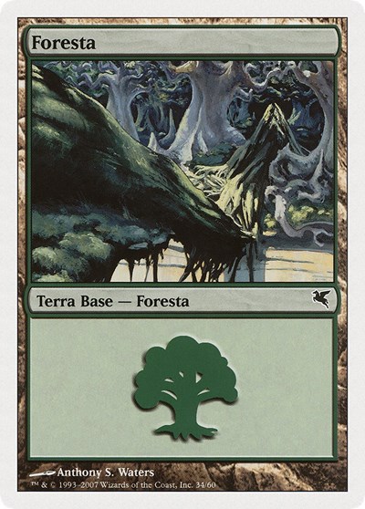 Forest Italian Foresta