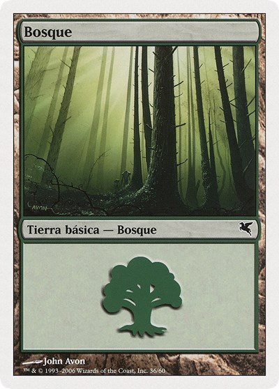 Forest Spanish Bosque