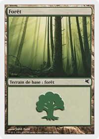 Forest (French) - "Foret" (B36)