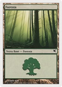 Forest (Italian) - "Foresta" (B36)