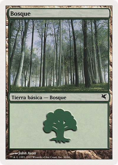 Forest Spanish Bosque