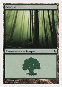 Forest (Spanish) - "Bosque" (J45)