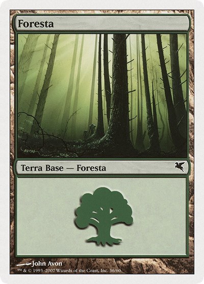 Forest Italian Foresta