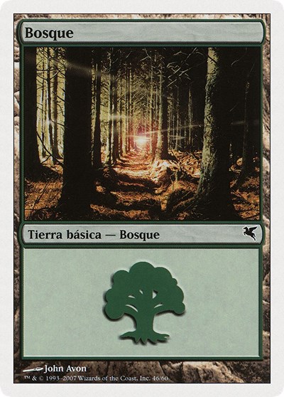 Forest Spanish Bosque