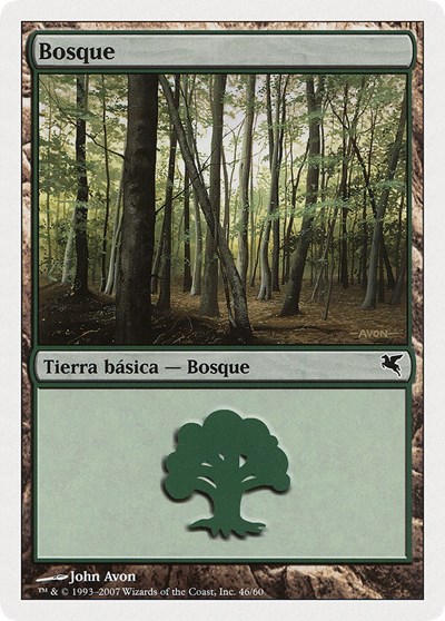 Forest Spanish Bosque