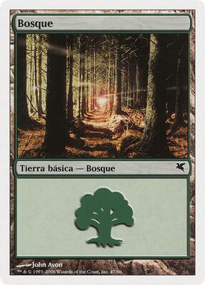 Forest (Spanish) - "Bosque"