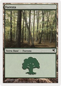 Forest (Italian) - "Foresta" (I48)