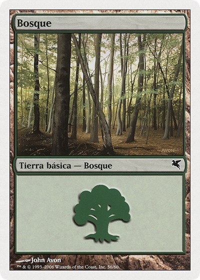 Forest Spanish Bosque