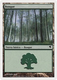 Forest (Spanish) - "Bosque" (J56)