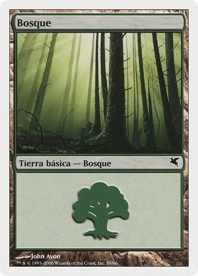 Forest Spanish Bosque