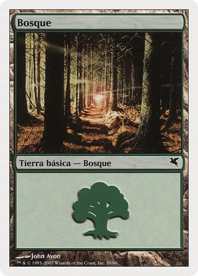 Forest Spanish Bosque