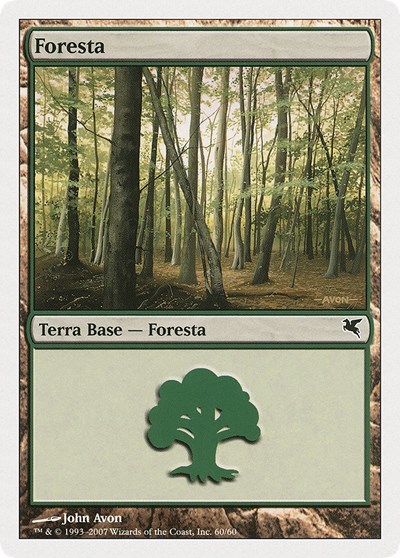 Forest Italian Foresta
