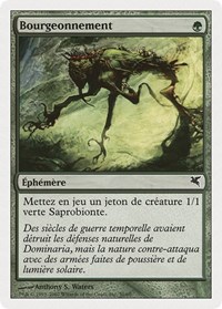 Sprout (French) - "Bourgeonnement" (J30)