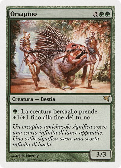Ursapine Italian Orsapino