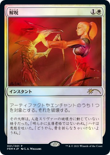 Disenchant JP Graphic Novel Insert
