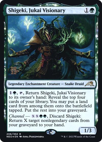 Shigeki Jukai Visionary