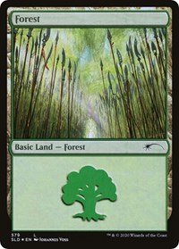 Forest (579)