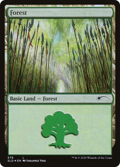 Forest 579