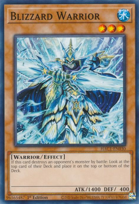 Blizzard Warrior