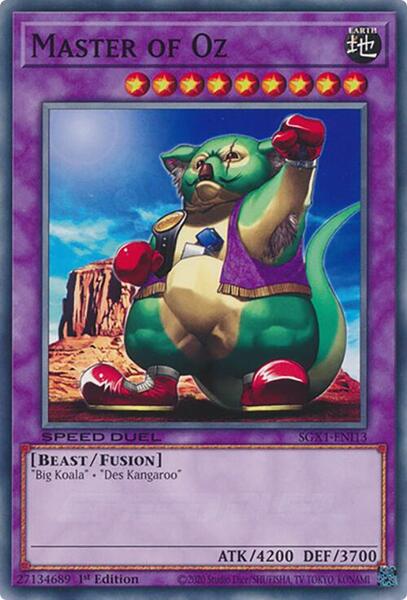 card collector binder sleeves Jumbo Binder + Sleeves