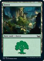 Forest (271) - Streets of New Capenna - Magic: The Gathering