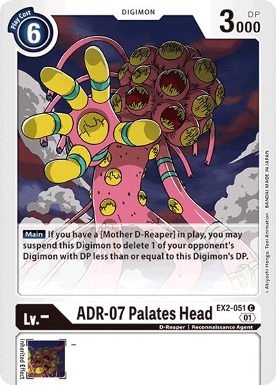 ADR 07 Palates Head