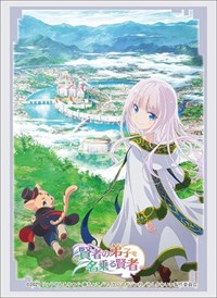 Bushiroad Sleeve Collection HG Vol.3199 She Professed Herself Pupil of the Wise · Bushiroad Card Sleeves